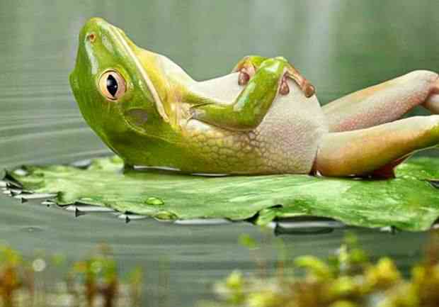 Why is my team slowing down?